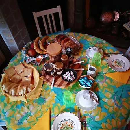 Zizzihome *